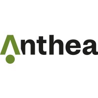 Logo Anthea